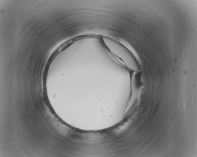 X0000082740980200702240008