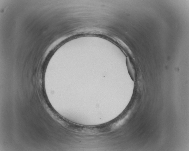 X0000082740981200702240008