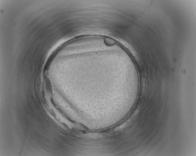 X0000082740982200702240008