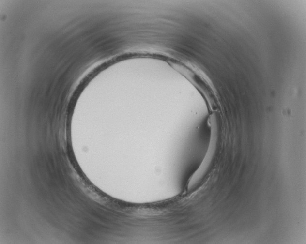 X0000082740984200702240008