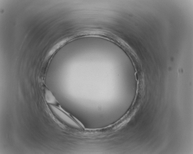 X0000082740985200702240008