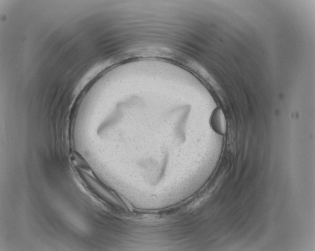 X0000082740986200702240008