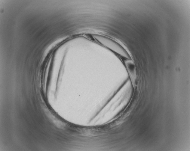 X0000082740987200702240008