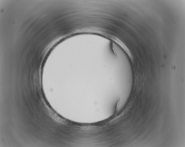 X0000082740988200702240008