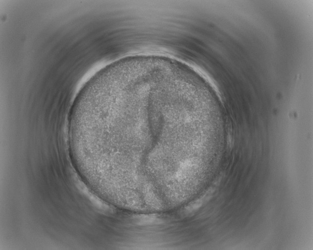 X0000082740990200702240008