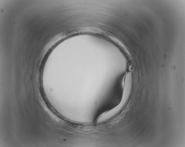 X0000082740991200702240008