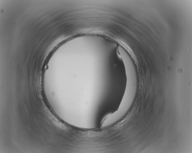 X0000082740992200702240008