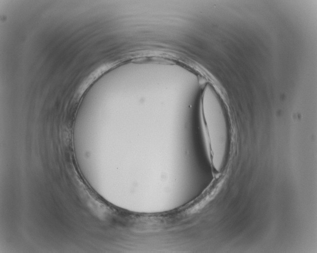 X0000082740993200702240008