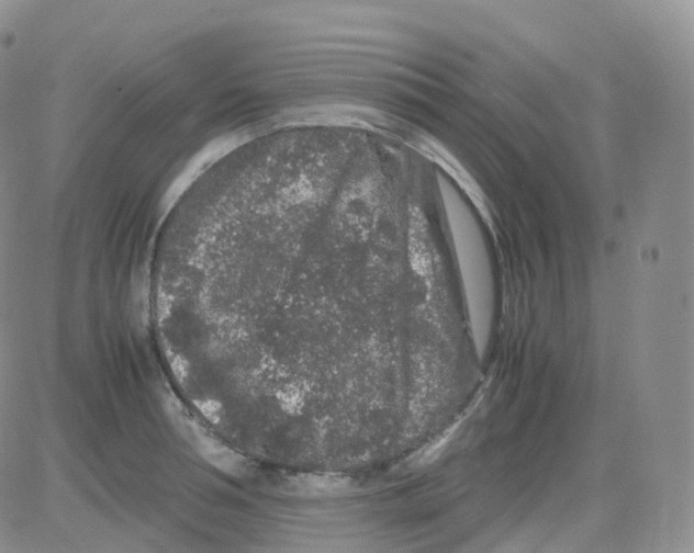 X0000082740994200702240008