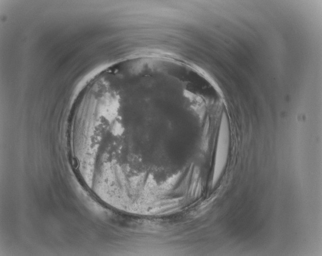 X0000082740995200702240008