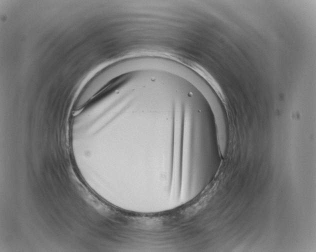 X0000082740996200702240008