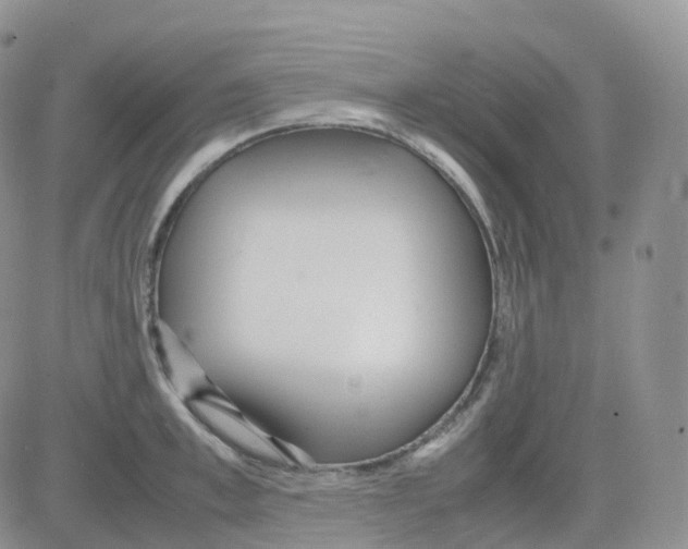 X0000082740997200702240008