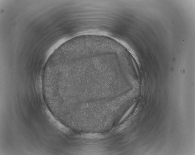 X0000082740998200702240008