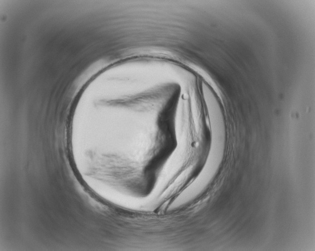 X0000082740999200702240008