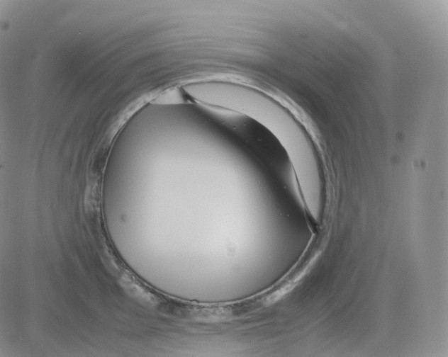 X0000082741001200702240008