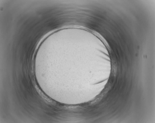 X0000082741004200702240008