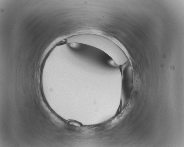 X0000082741005200702240008