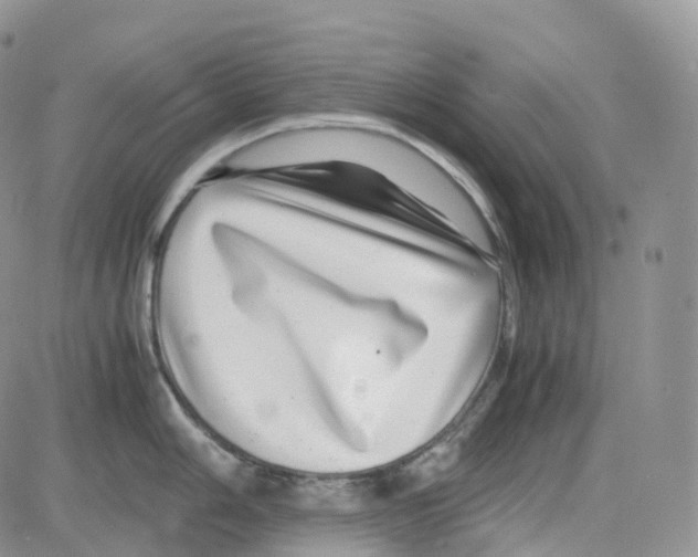 X0000082741006200702240008