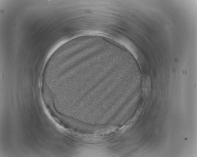 X0000082741007200702240008