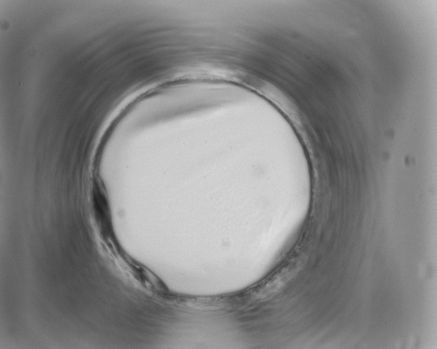 X0000082741008200702240008