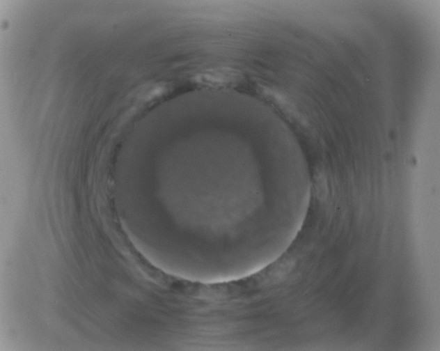 X0000082741009200702240007