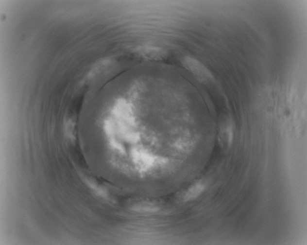 X0000082741010200702240007