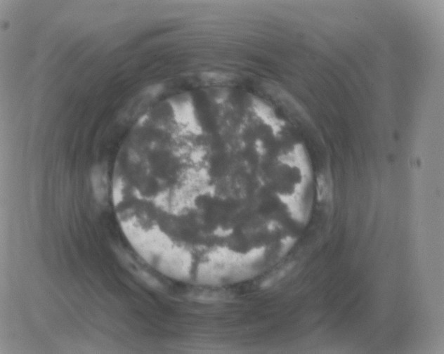 X0000082741011200702240007