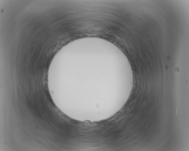 X0000082741012200702240007