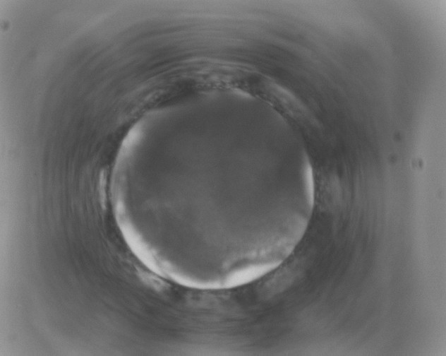 X0000082741013200702240007