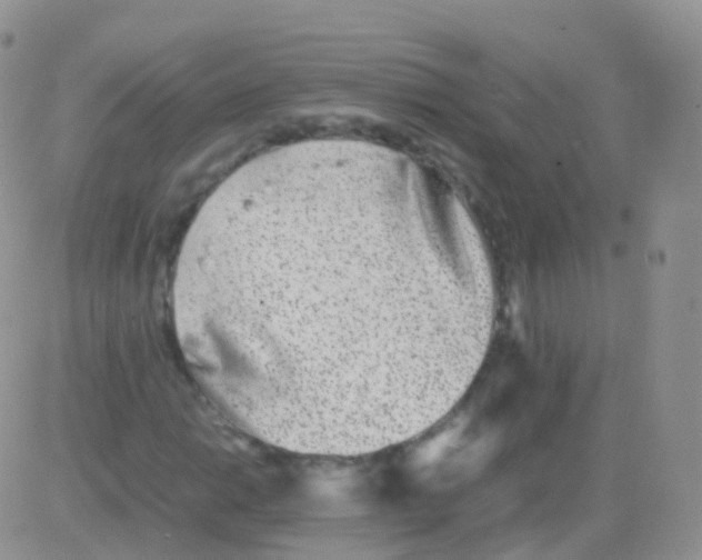 X0000082741014200702240007