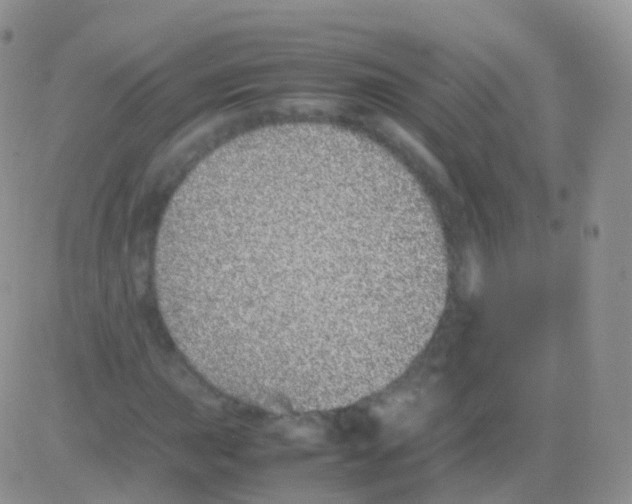 X0000082741015200702240007