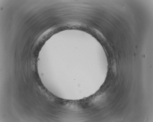 X0000082741016200702240007