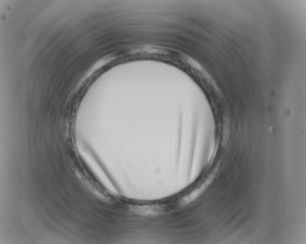 X0000082741017200702240007