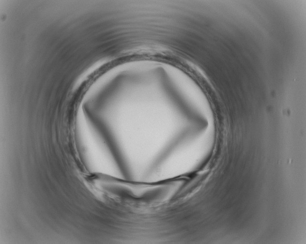 X0000082741018200702240007