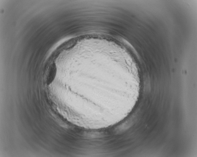 X0000082741019200702240007