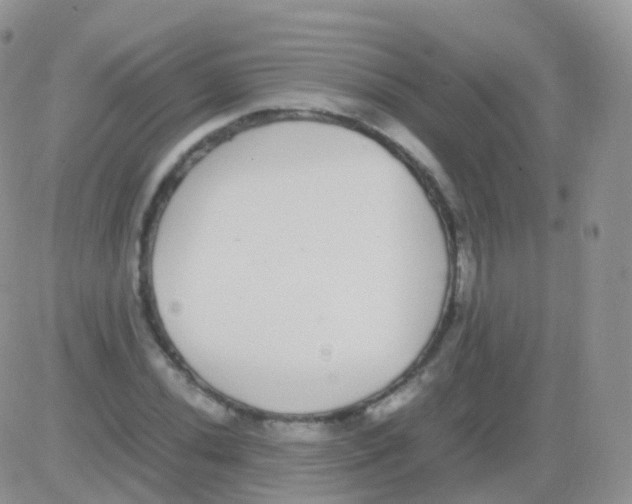 X0000082741020200702240007