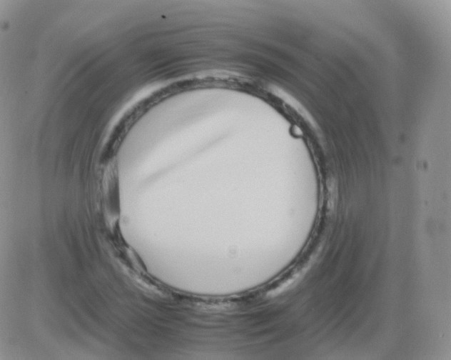 X0000082741021200702240007