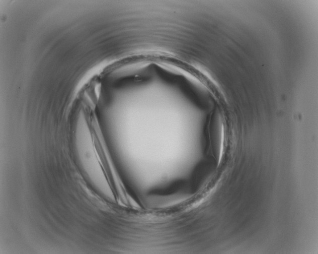 X0000082741022200702240007