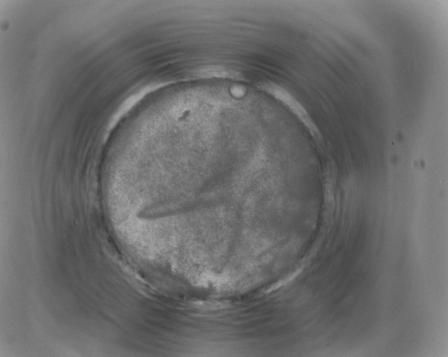 X0000082741023200702240007