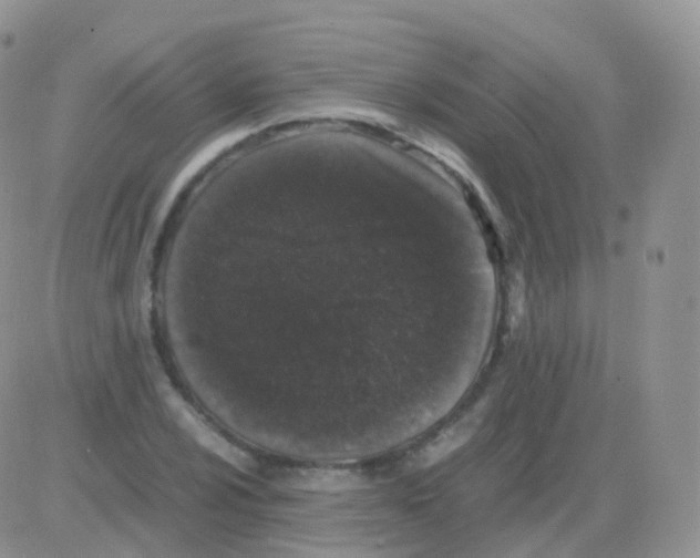 X0000082741024200702240007