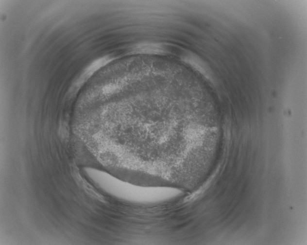 X0000082741025200702240007