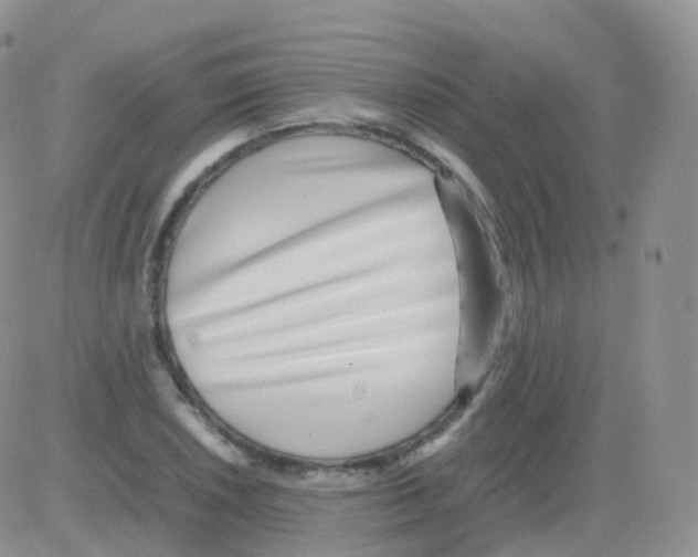 X0000082741026200702240007