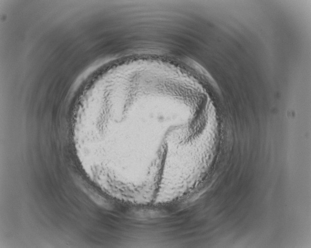 X0000082741027200702240007