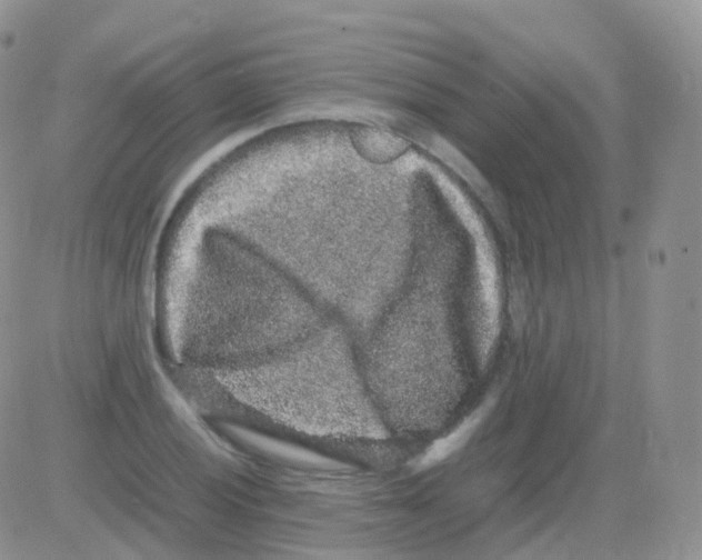 X0000082741028200702240007