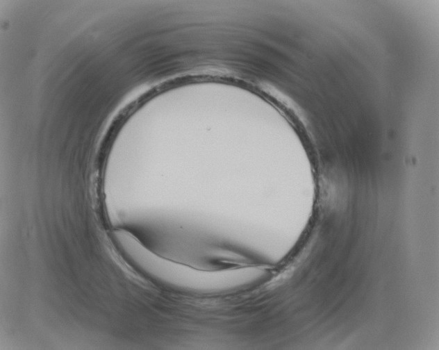 X0000082741029200702240007