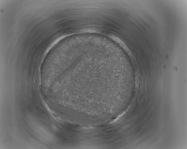 X0000082741031200702240007