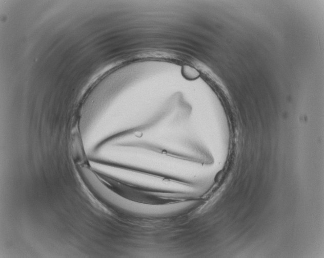 X0000082741033200702240008