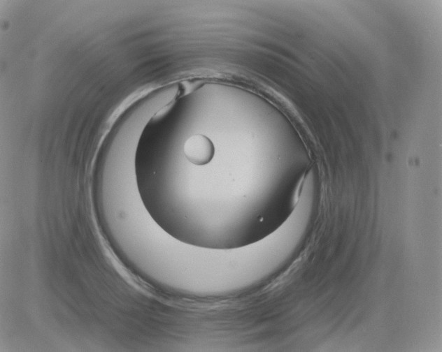 X0000082741034200702240008