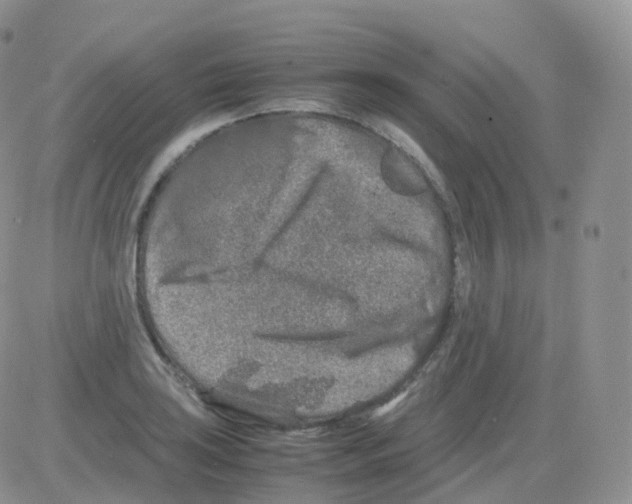 X0000082741035200702240008