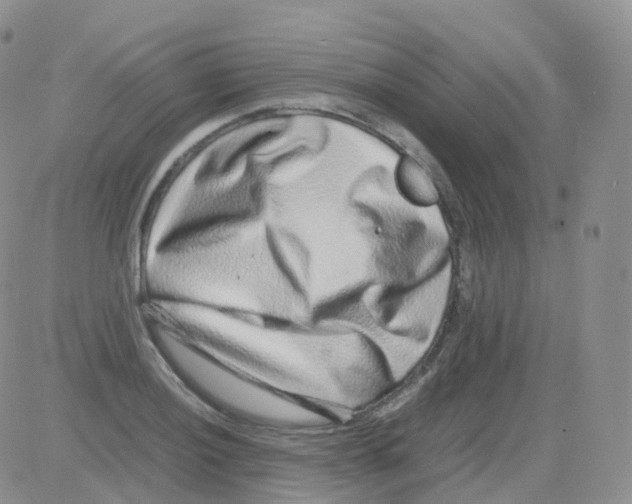 X0000082741036200702240008